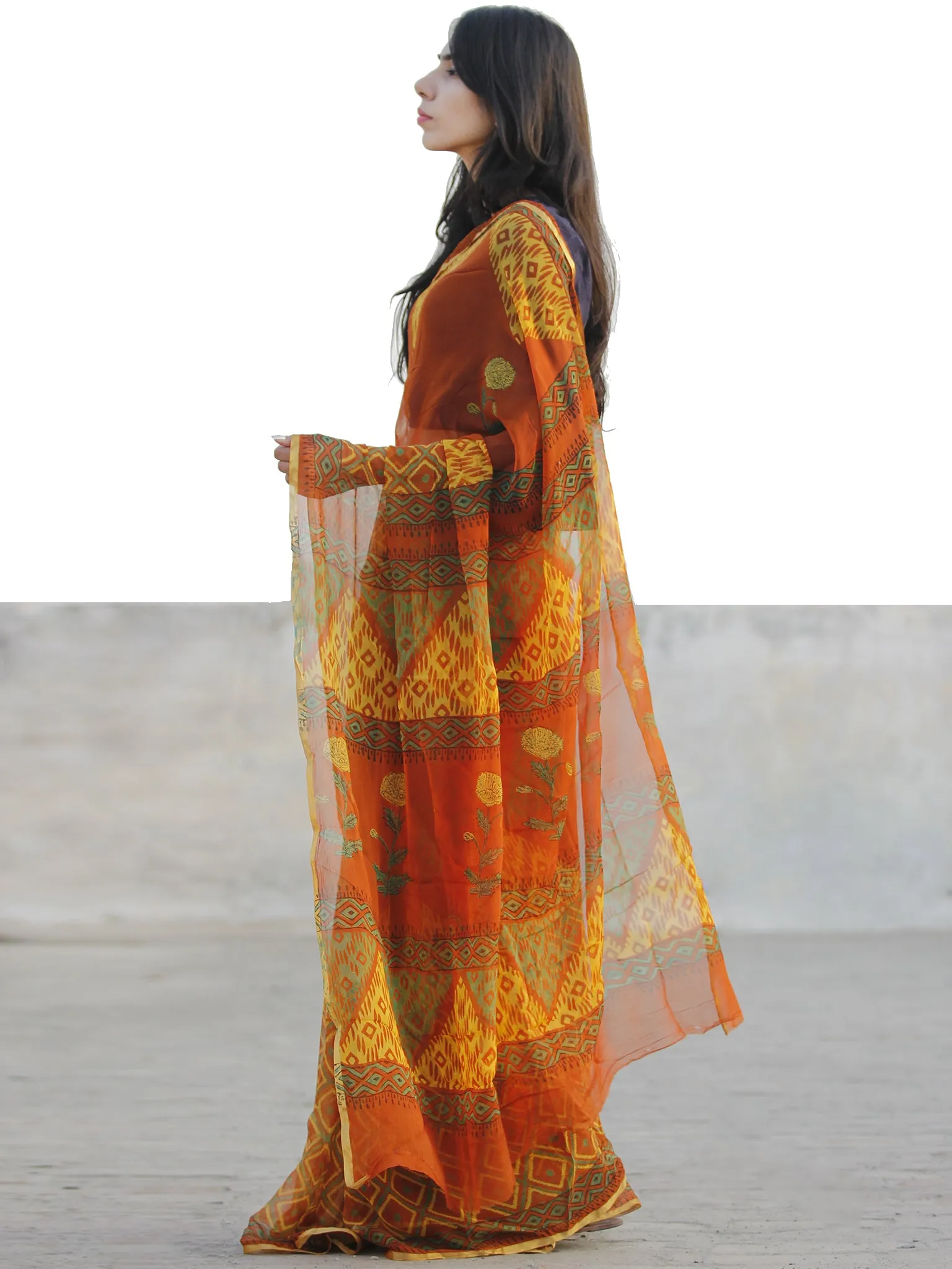Rust Yellow Green  Hand Block Printed Chiffon Saree with Zari border- S031702725